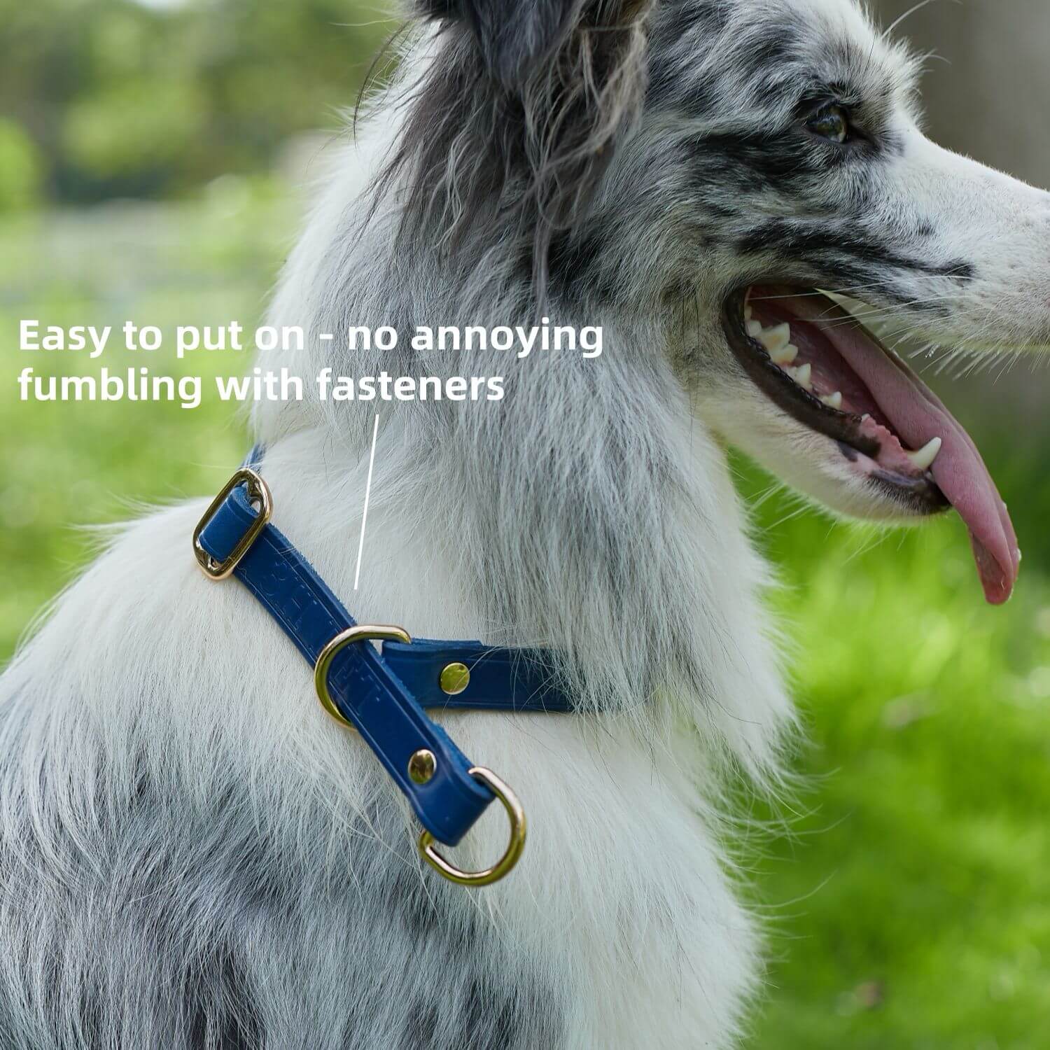 Slip Collar with Slidable Stop Ring Blue