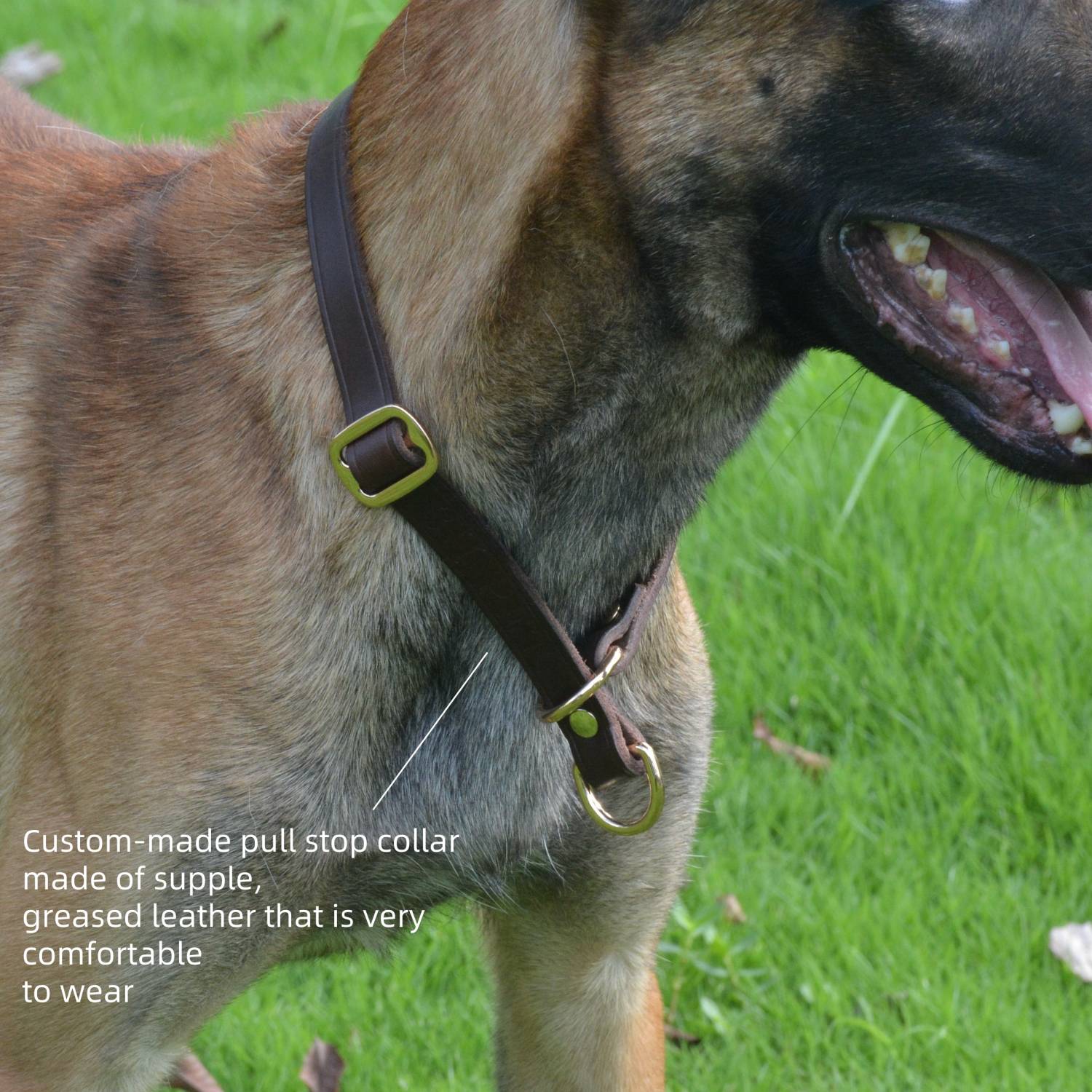 Slip Collar with Slidable Stop Ring Brown