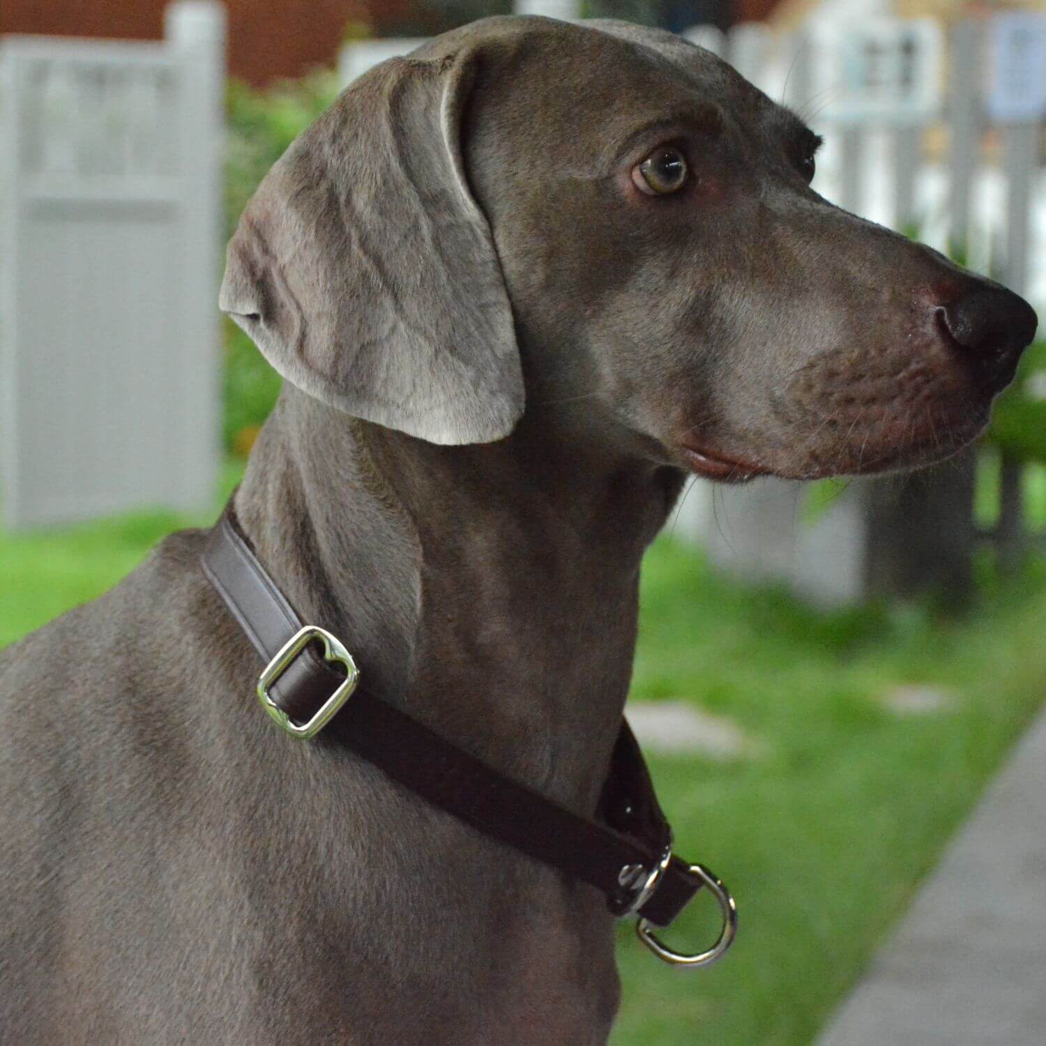 Slip Collar with Slidable Stop Ring Brown