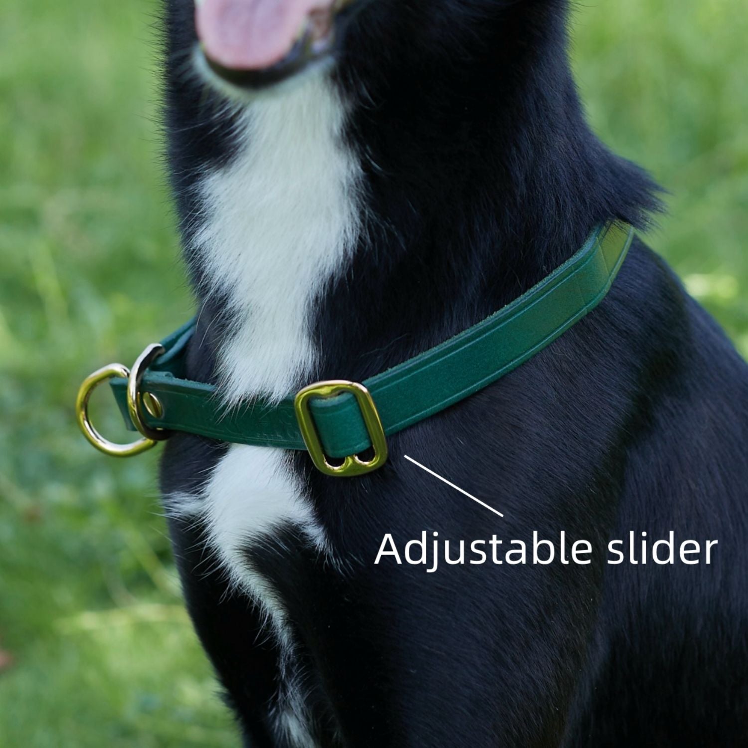 Slip Collar with Slidable Stop Ring Green