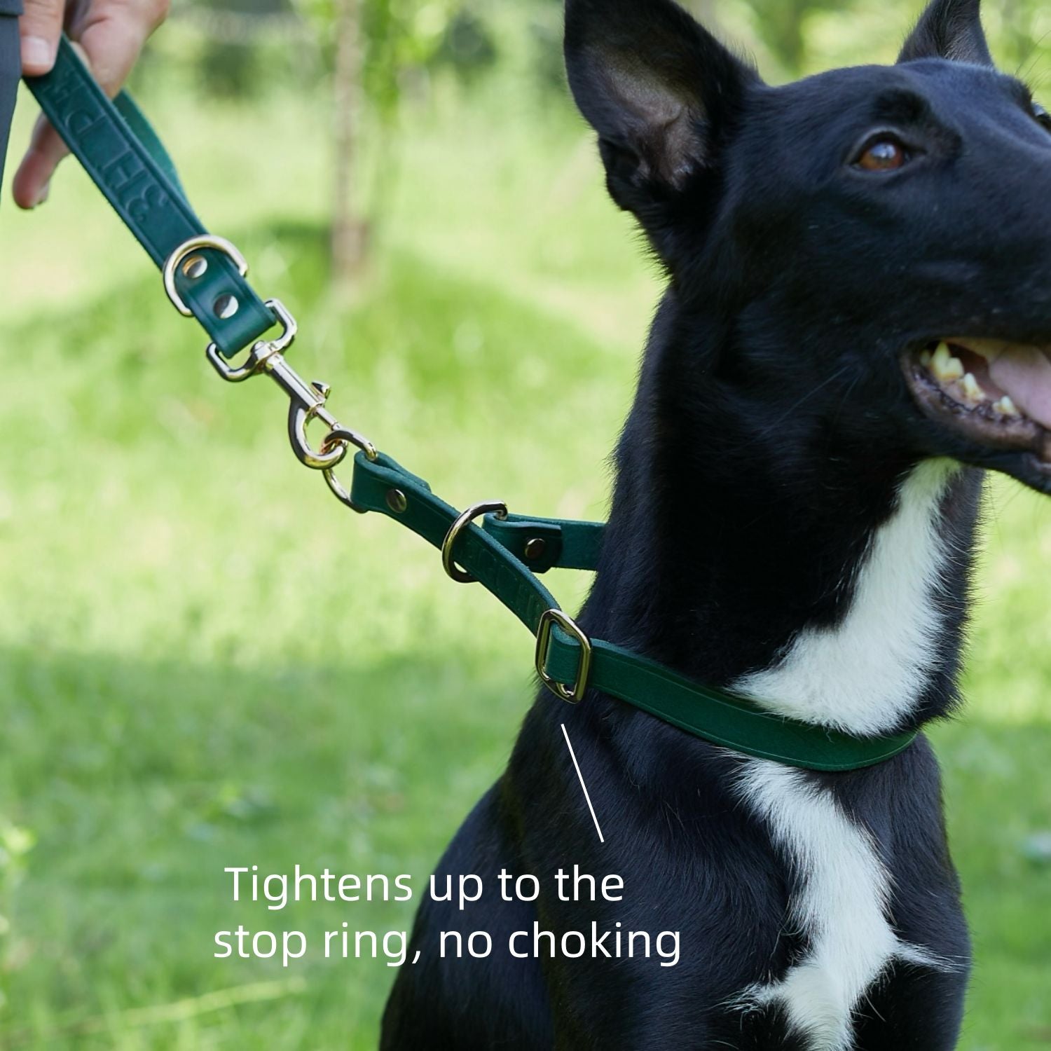 Slip Collar with Slidable Stop Ring Green