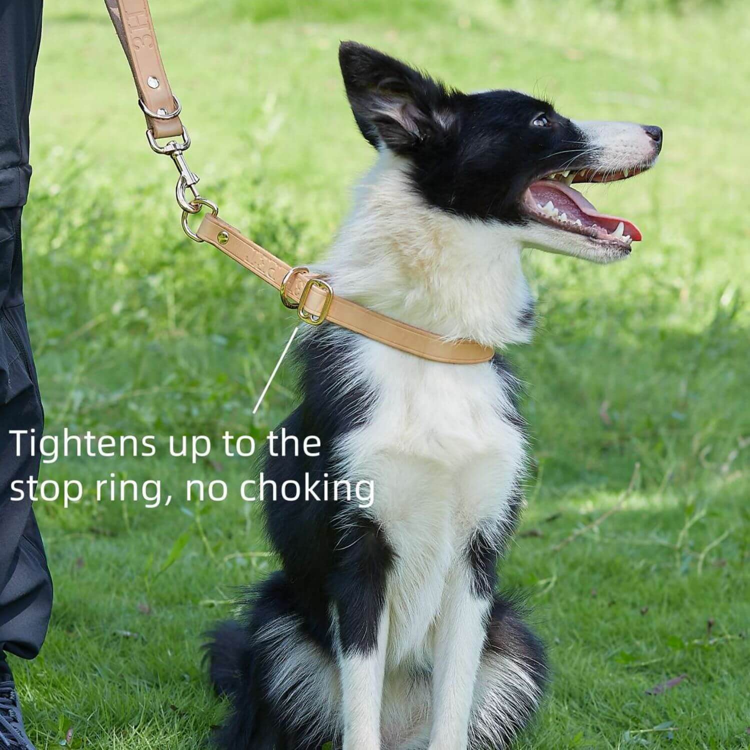 Slip Collar with Slidable Stop Ring Nature