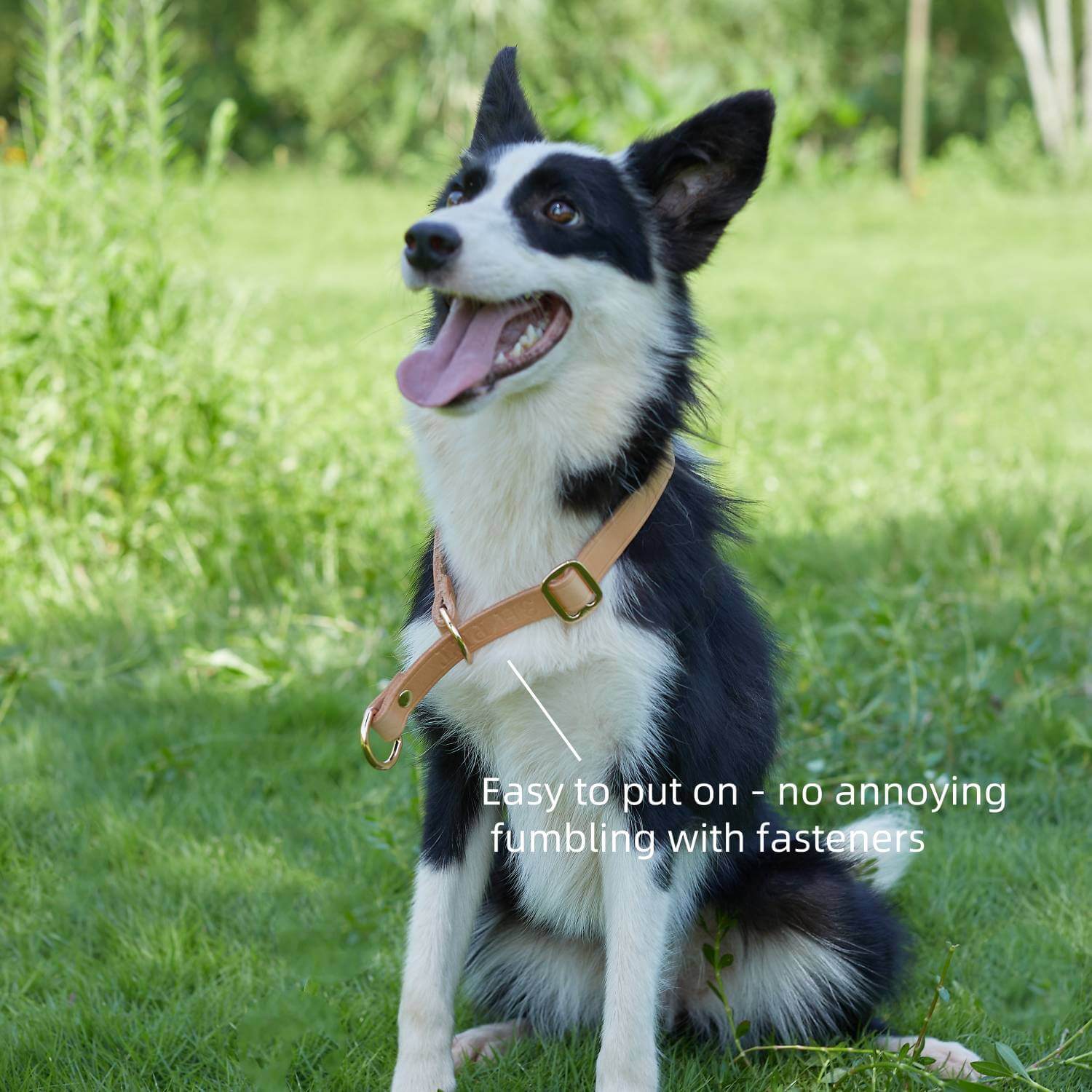 Slip Collar with Slidable Stop Ring Nature