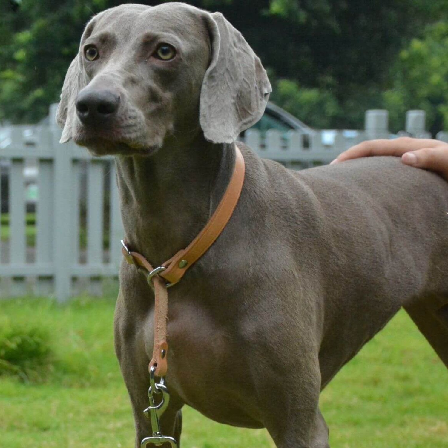 Slip Collar with Slidable Stop Ring Nature