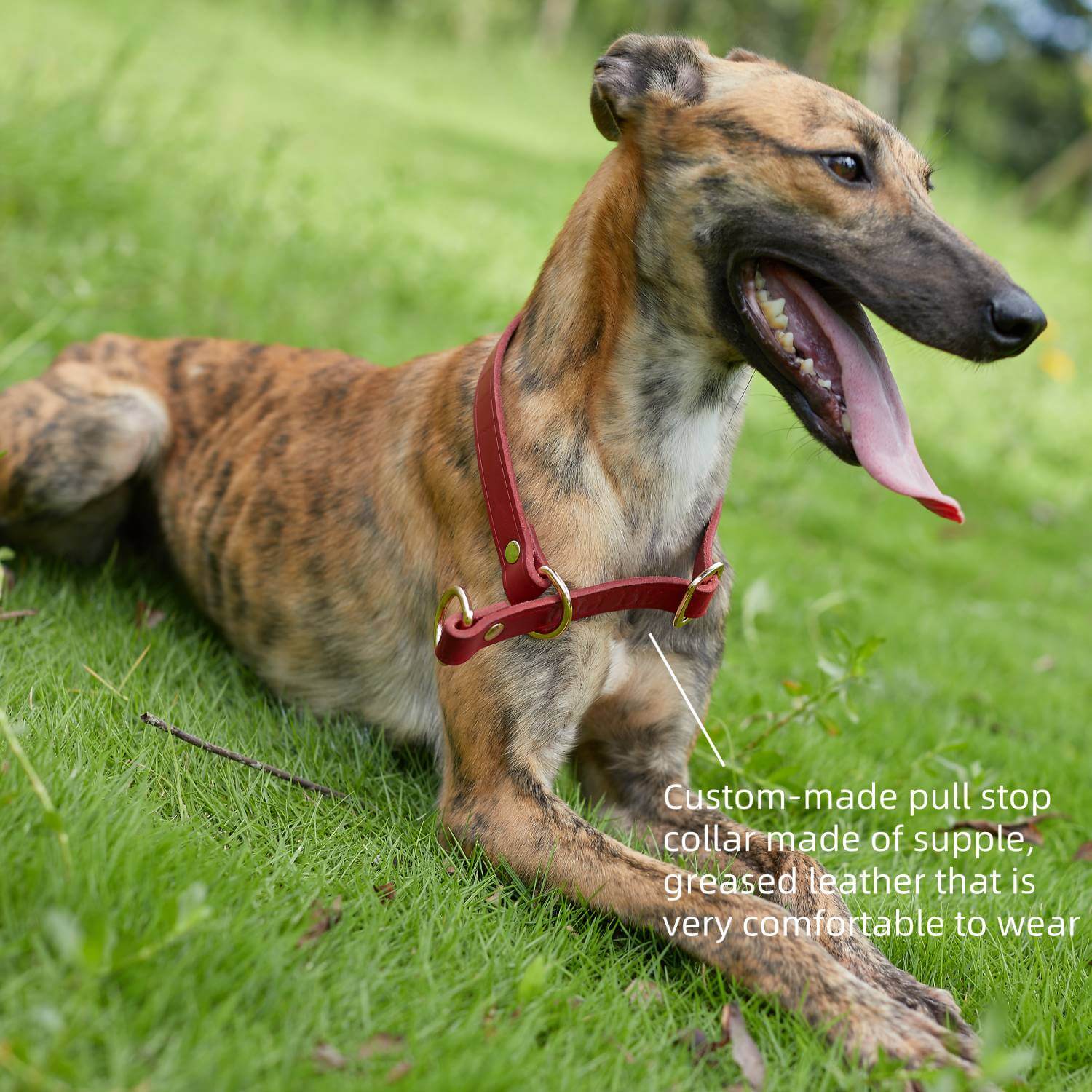 Slip Collar with Slidable Stop Ring Red