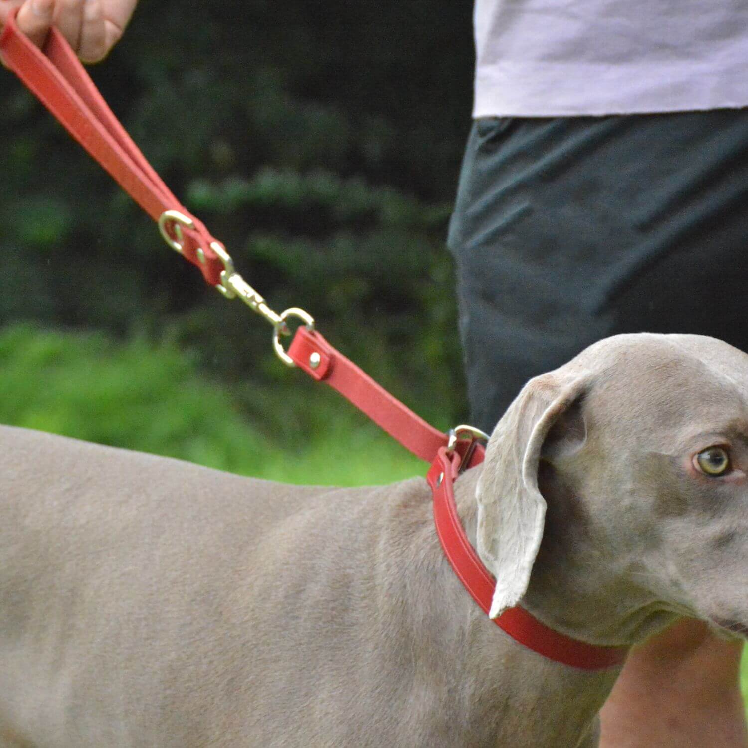 Slip Collar with Slidable Stop Ring Red