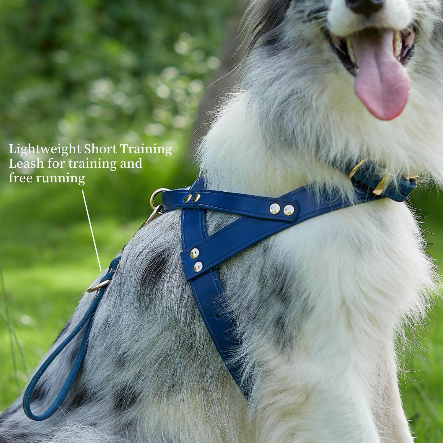 Traffic Lead Short Training Leash Blue