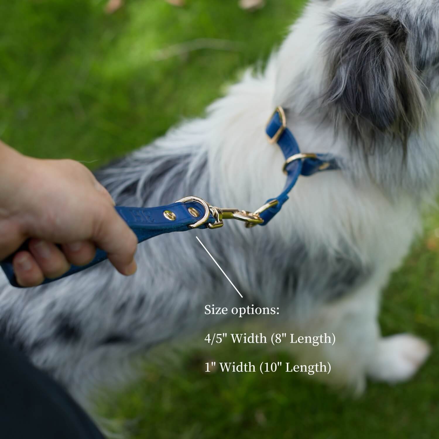 Traffic Lead Short Training Leash Blue