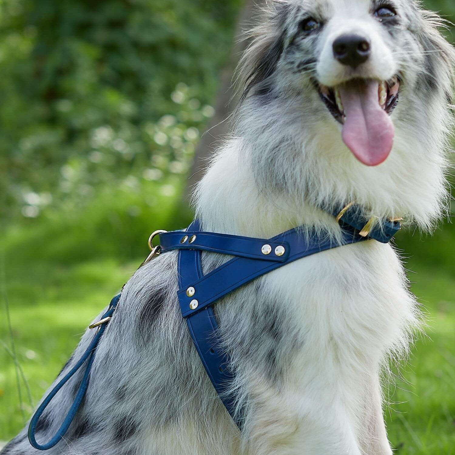 Traffic Lead Short Training Leash Blue