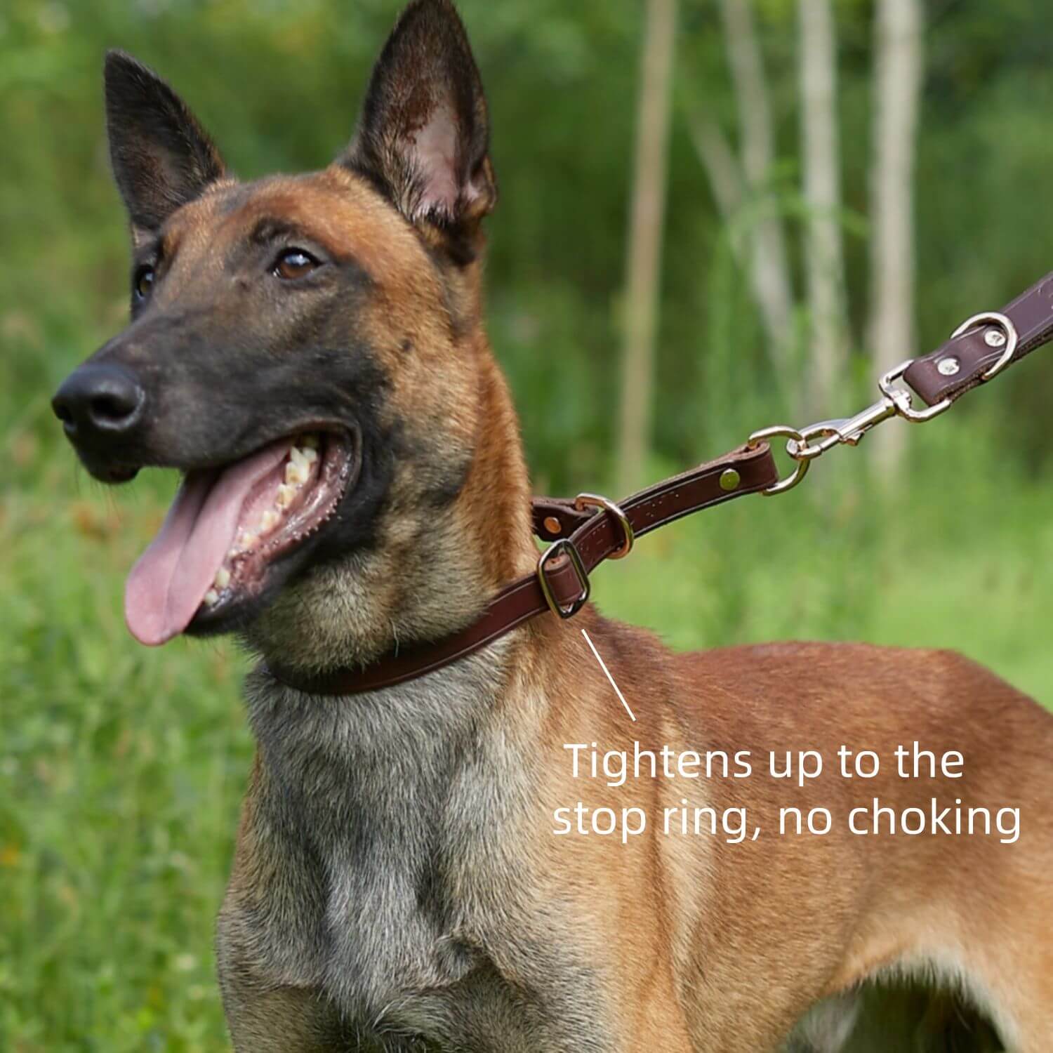 Traffic Lead Short Training Leash Brown