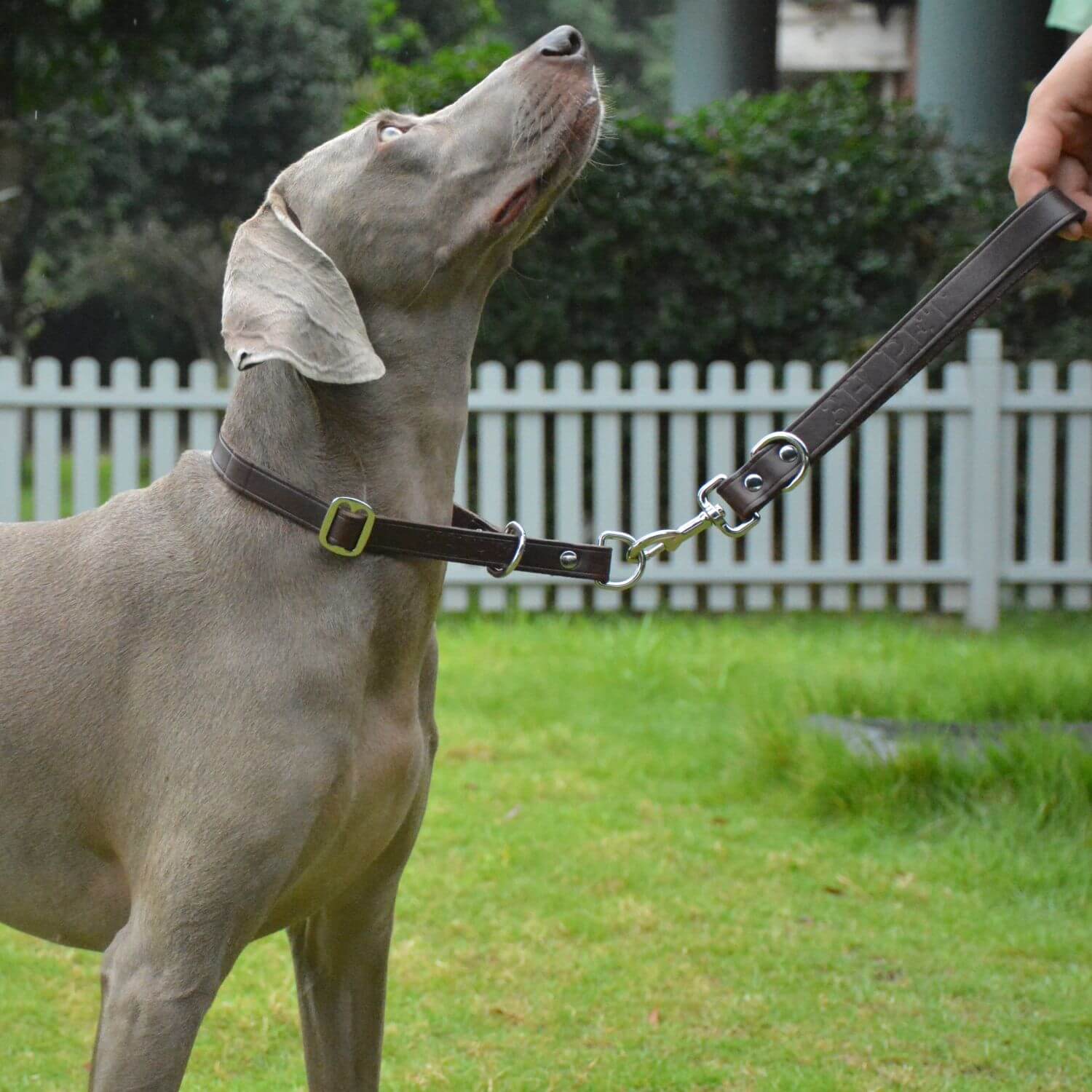 Traffic Lead Short Training Leash Brown