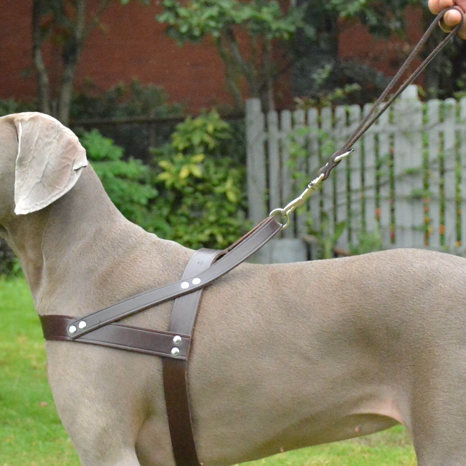 Traffic Lead Short Training Leash Brown