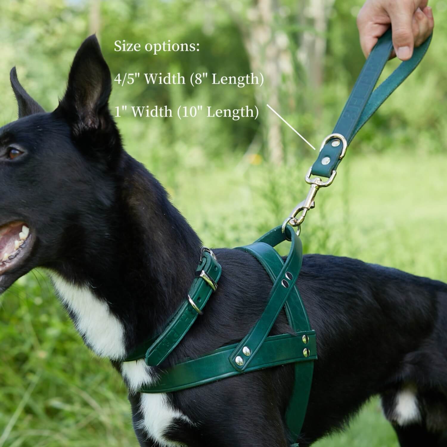 Traffic Lead Short Training Leash Green