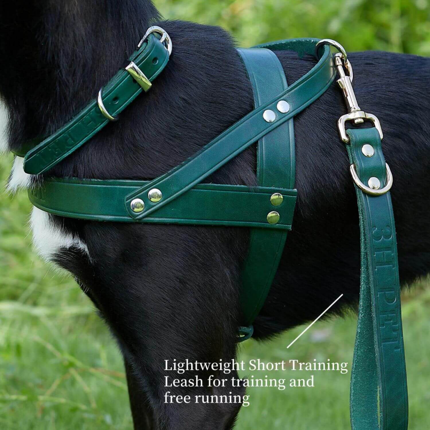 Traffic Lead Short Training Leash Green