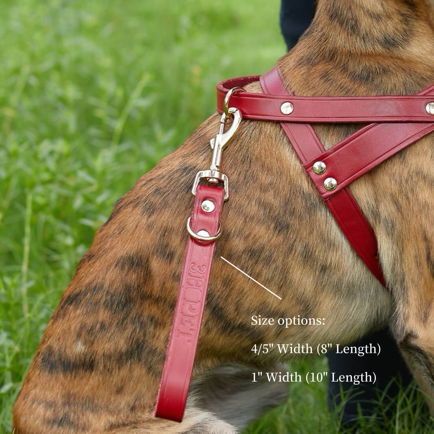 Traffic Lead Short Training Leash Red