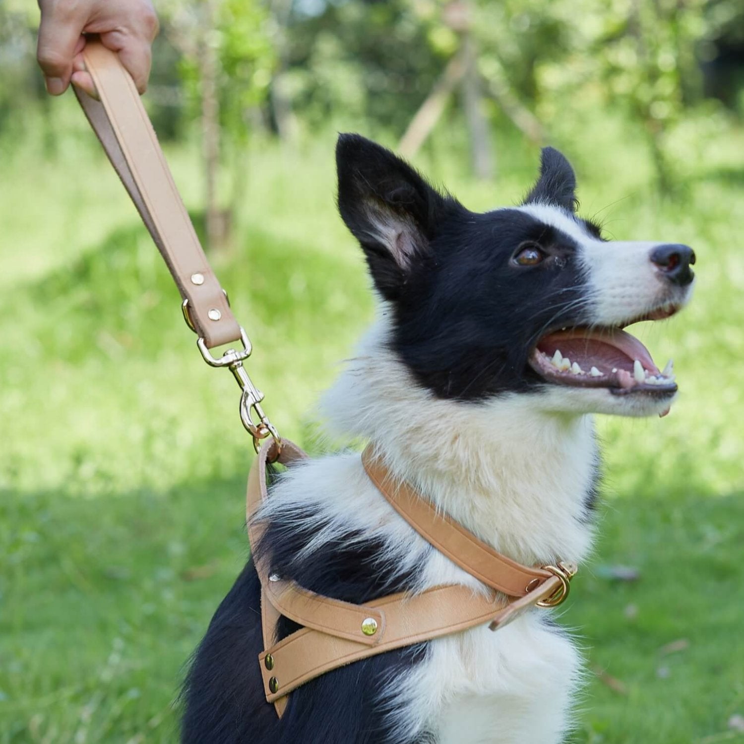 Traffic Lead Short Training Leash Tan