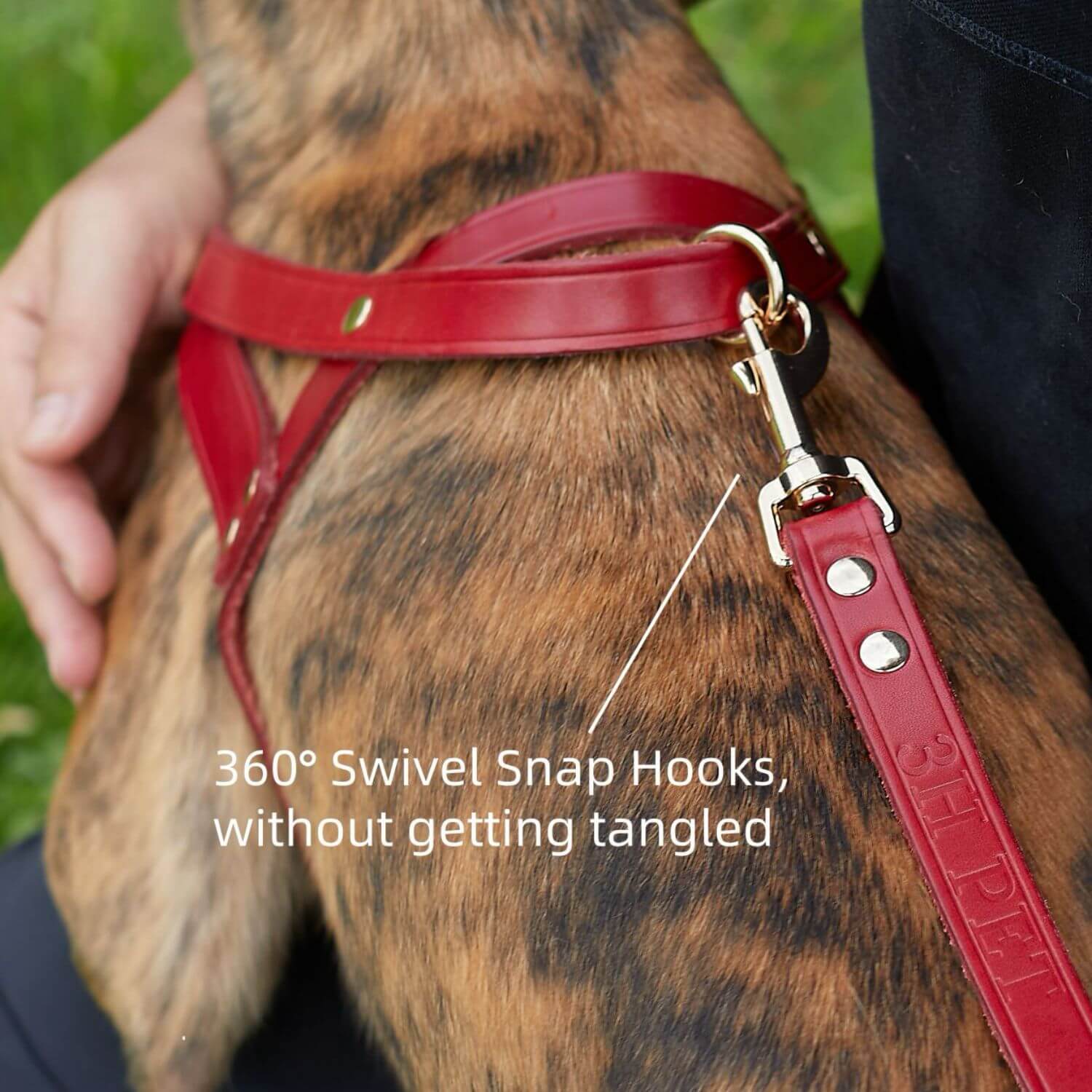 2 Dogs Leash Leather Leash Coupler Red