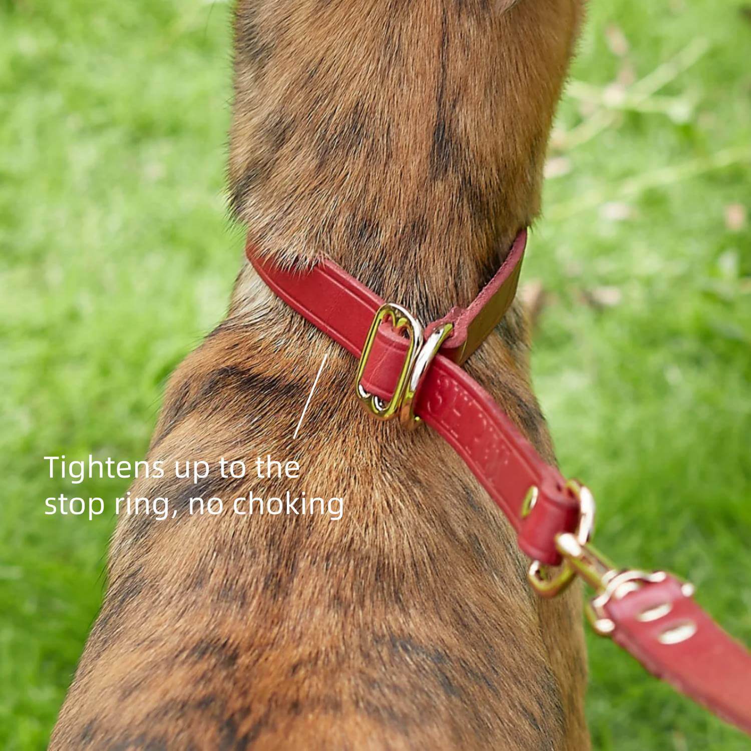 Slip Collar with Slidable Stop Ring Red 